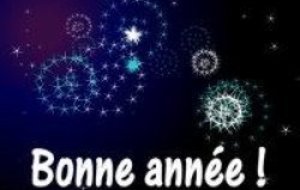 BONNE ANNEE 2010