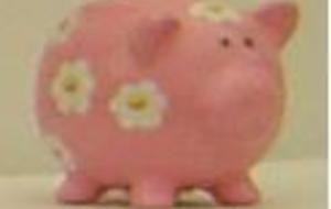 Compte-rendu d'AG 2013