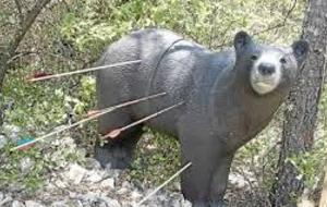 Invitation découverte 3D et nature