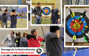 22 nov. 2024 - Passage de la flèche blanche, encore de très jolis scores!
