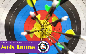 1er mar. 2025 - Le Mois Jaune