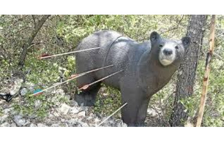 Invitation découverte 3D et nature