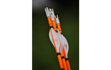 Assemblée Générale